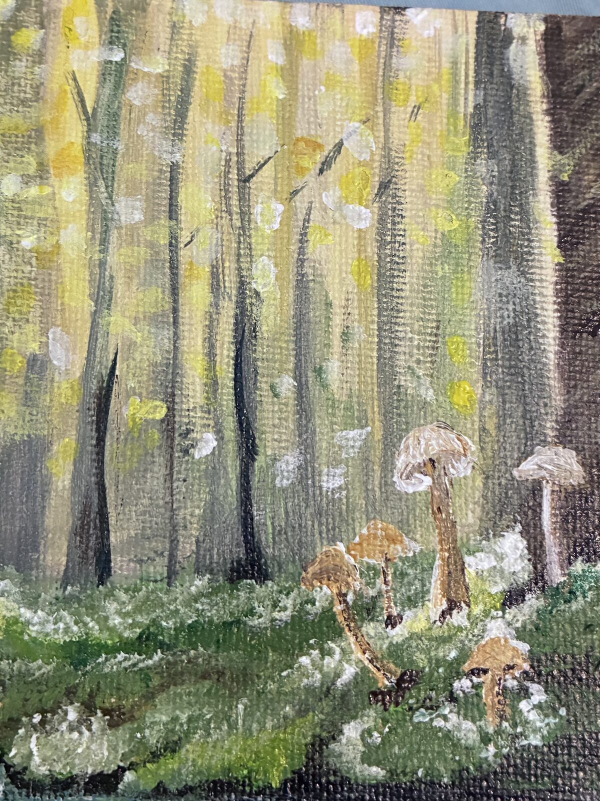 Faith Viens acrylic painting of a sunlit forest with mushrooms on the forest floor