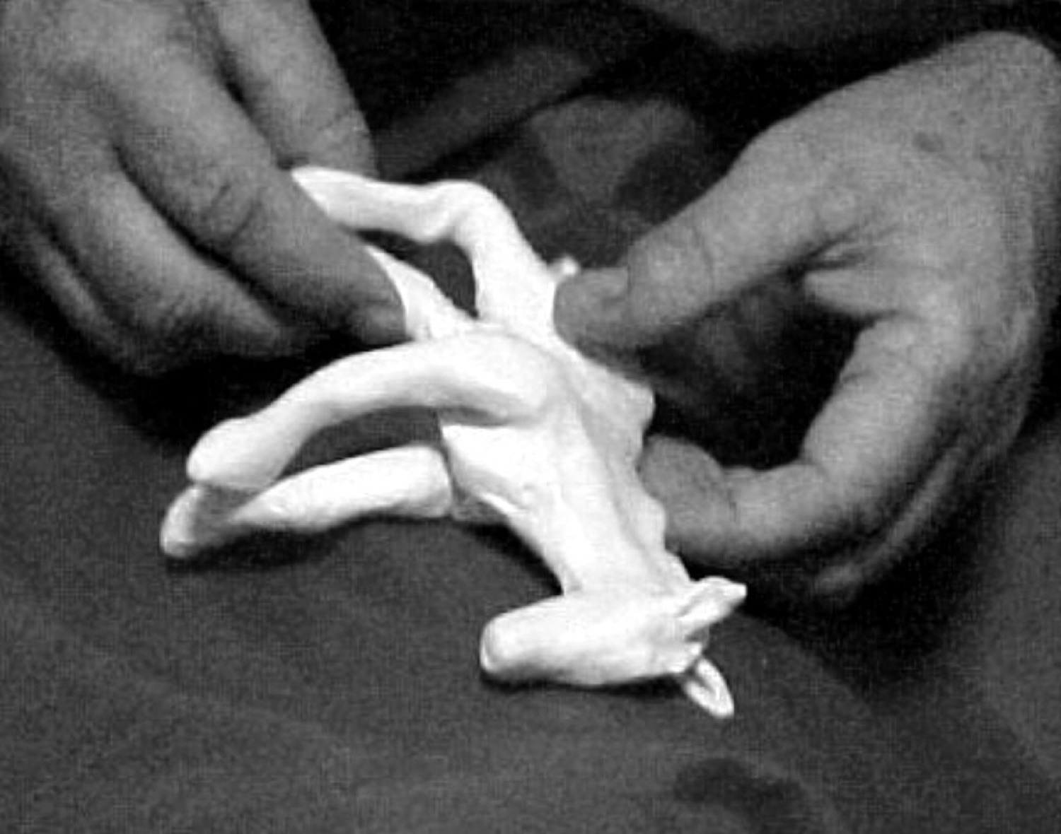 Hands shaping a delicate clay sculpture of a hand
