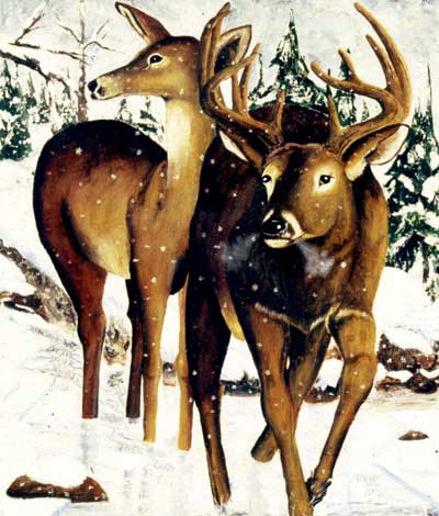 Two deer in a snowy forest painting
